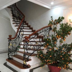 Cầu Thang Sắt Mỹ Thuật CTS-136